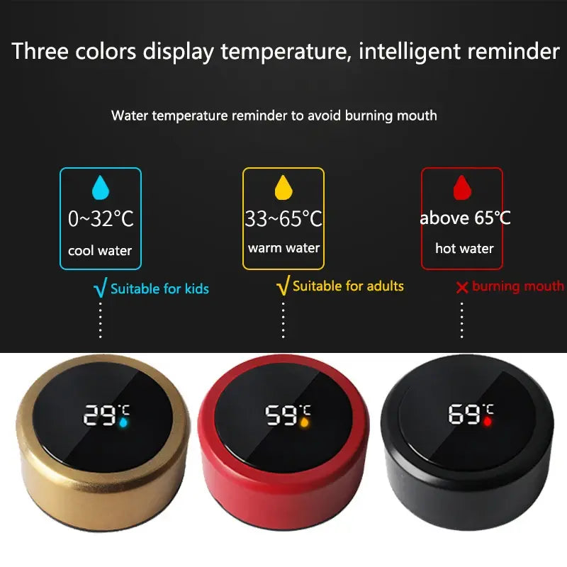 Digital Temperature Display Water Bottle
